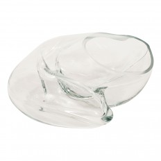 Clear Murano glass shell sculpture