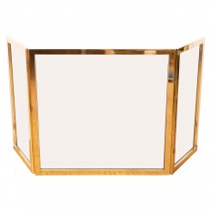 Petite brass and glass fire screen 