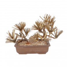 Brass tree form sculpture