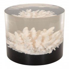 Resin encased coral